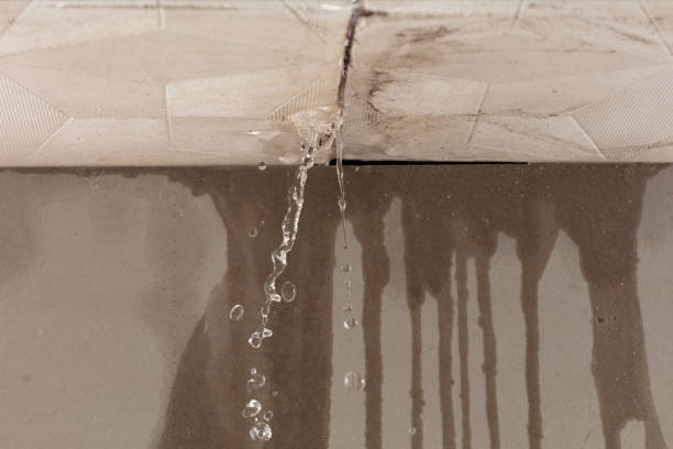 Professional Flood Damage Cleanup technician working in Aurora, IL